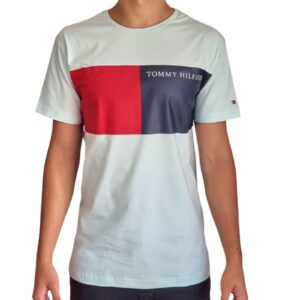 Camiseta Tommy Hilfiger Estampada cinza